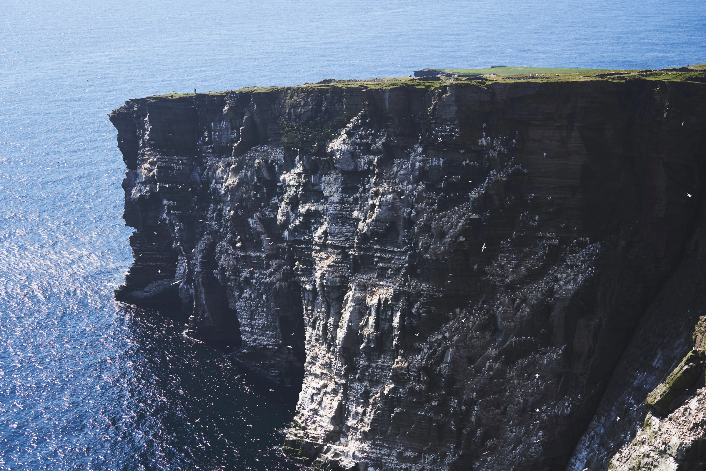 Isle_of_Noss[1].webp
